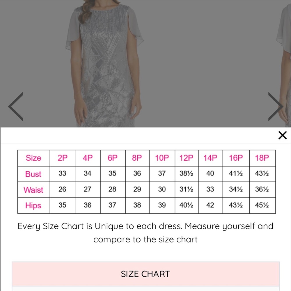 R&M Richards Silver Dress - Picture 12 of 12